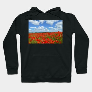 Poppy field Hoodie